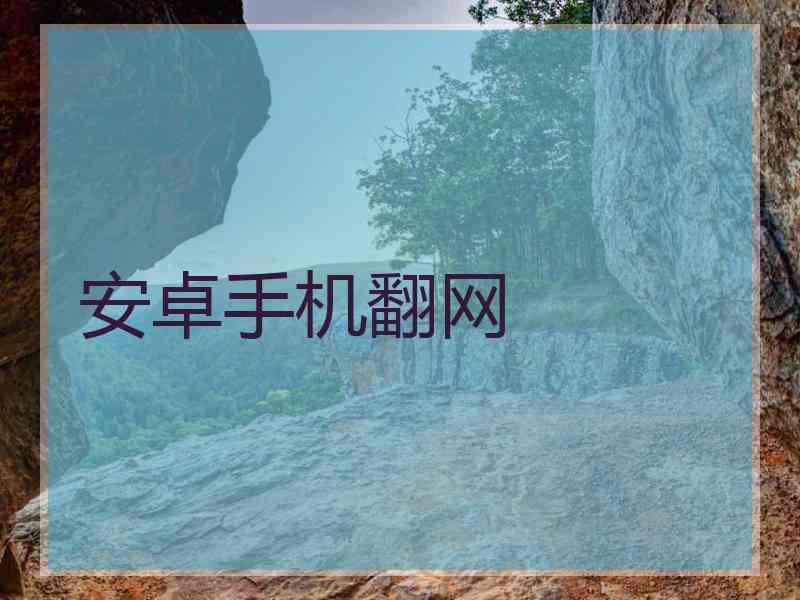 安卓手机翻网