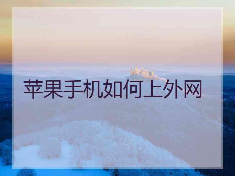 苹果手机如何上外网