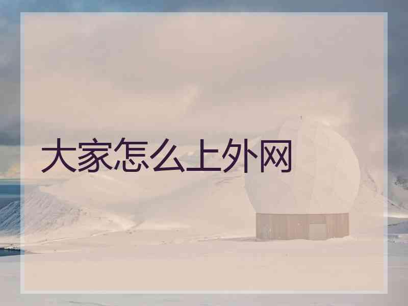 大家怎么上外网