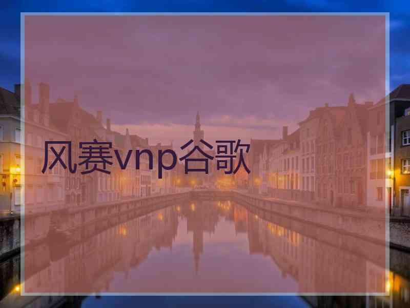 风赛vnp谷歌