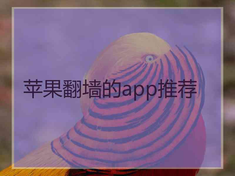 苹果翻墙的app推荐