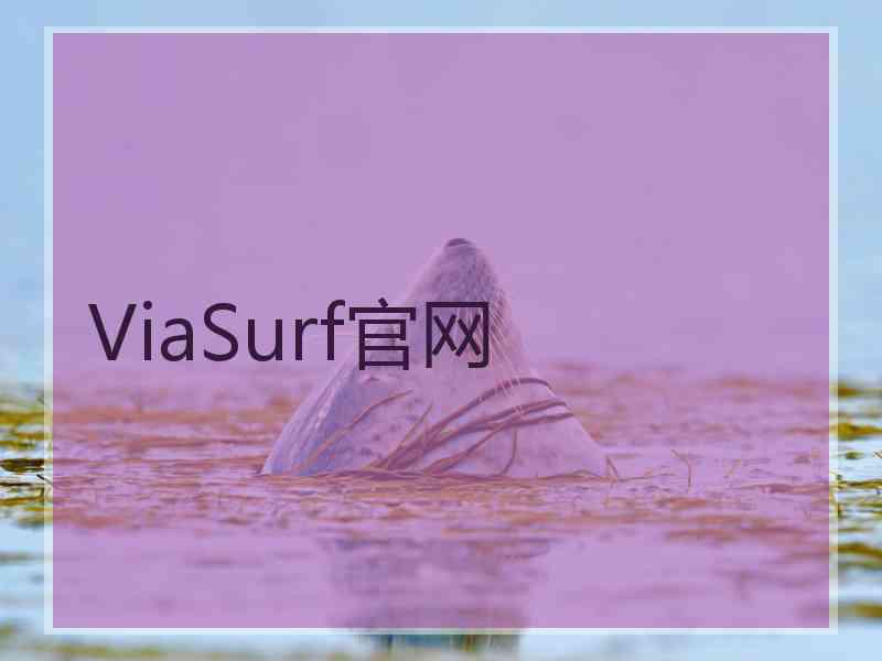ViaSurf官网