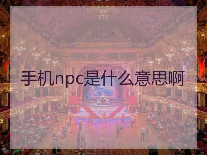 手机npc是什么意思啊