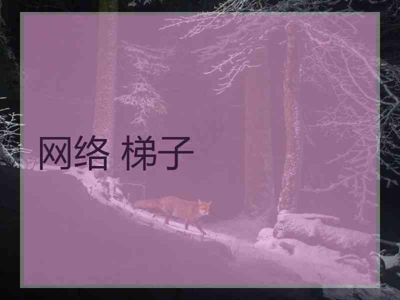 网络 梯子
