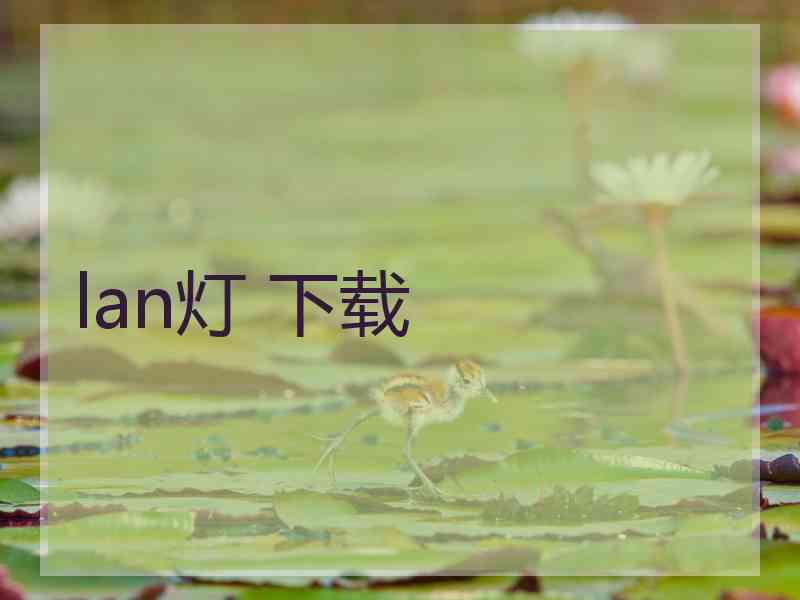 lan灯 下载