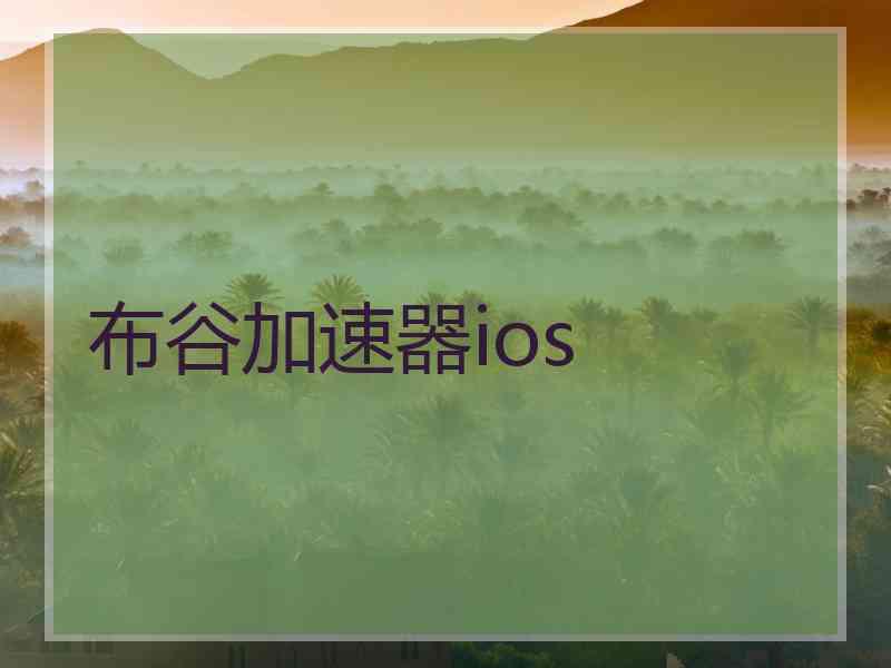 布谷加速器ios