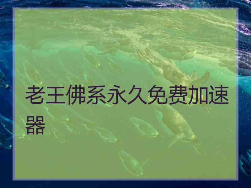 老王佛系永久免费加速器