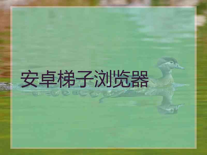 安卓梯子浏览器