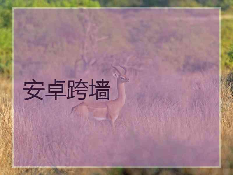安卓跨墙
