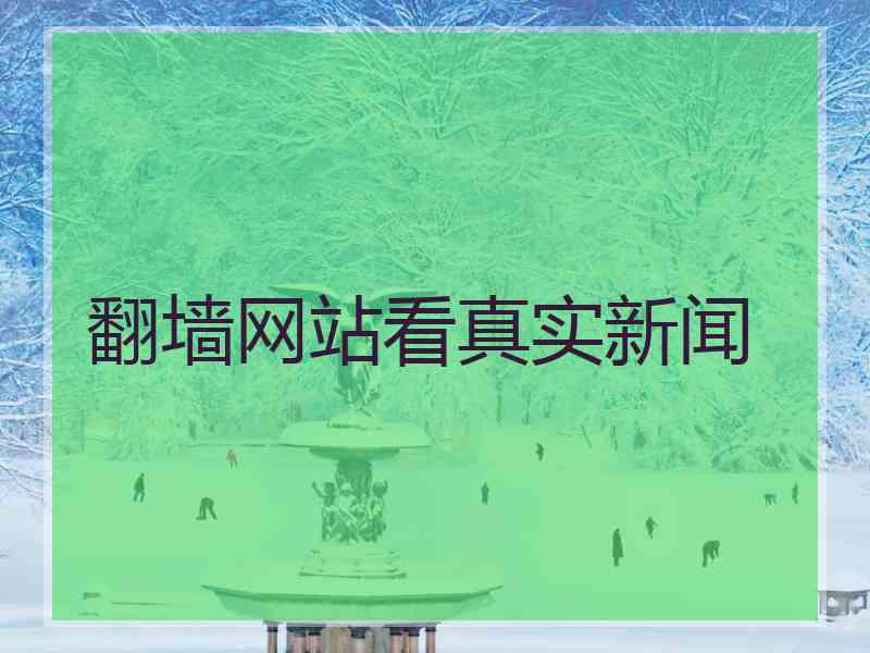 翻墙网站看真实新闻