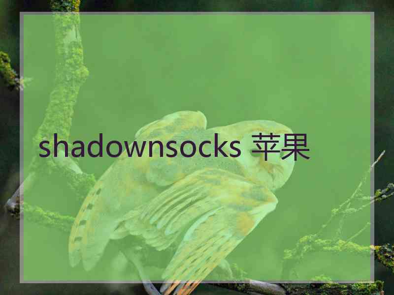 shadownsocks 苹果
