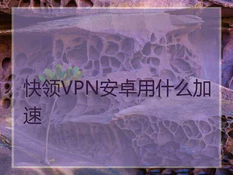 快领VPN安卓用什么加速