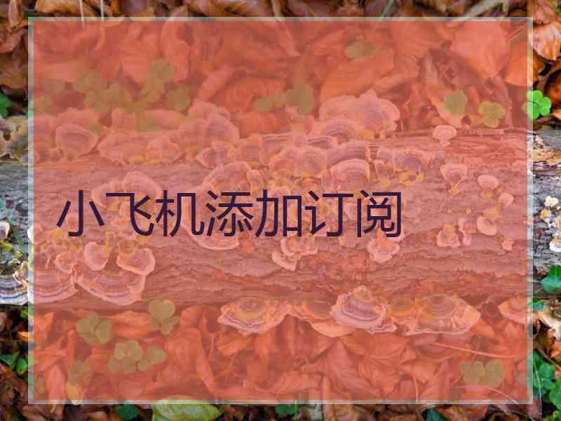 小飞机添加订阅