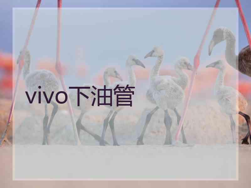 vivo下油管