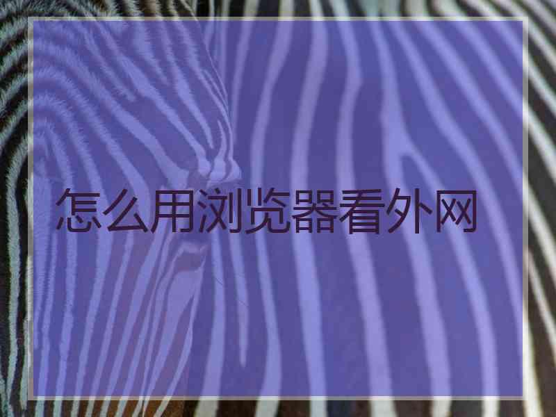 怎么用浏览器看外网