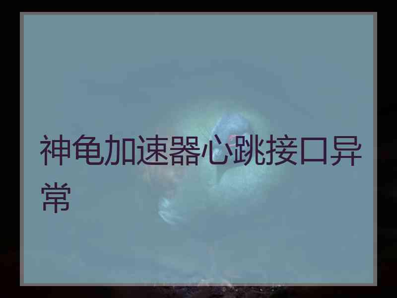 神龟加速器心跳接口异常