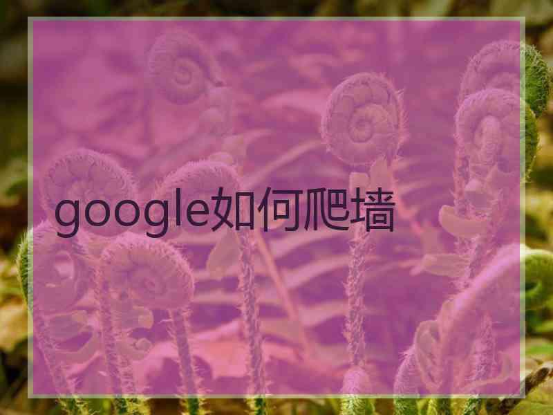 google如何爬墙
