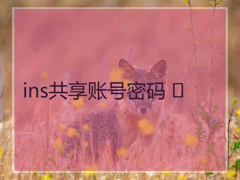 ins共享账号密码 	