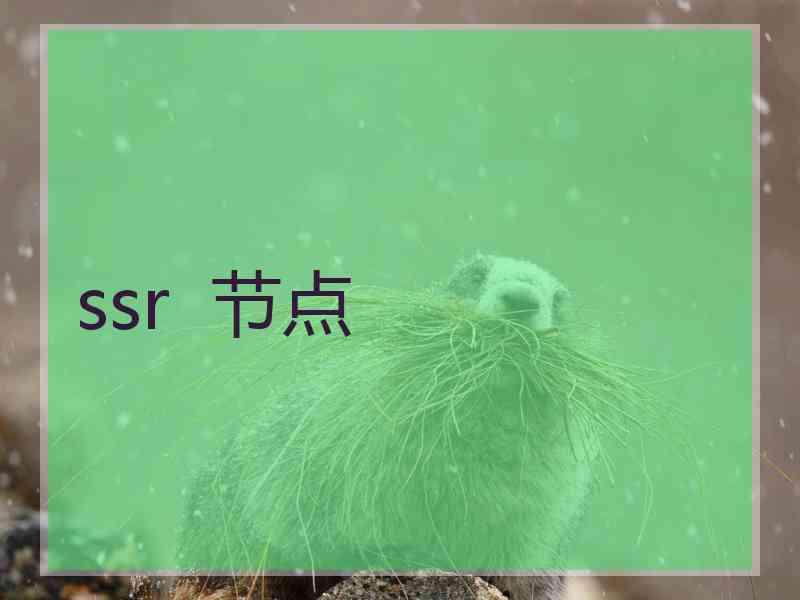 ssr  节点