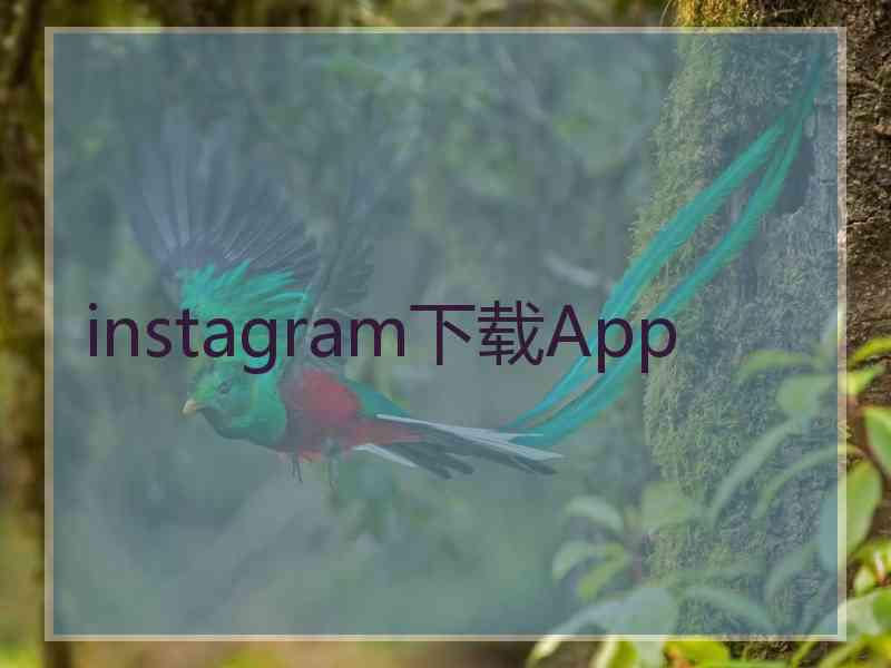 instagram下载App