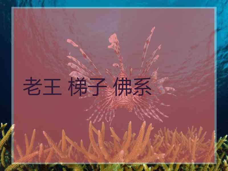 老王 梯子 佛系