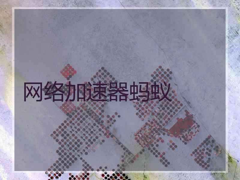 网络加速器蚂蚁
