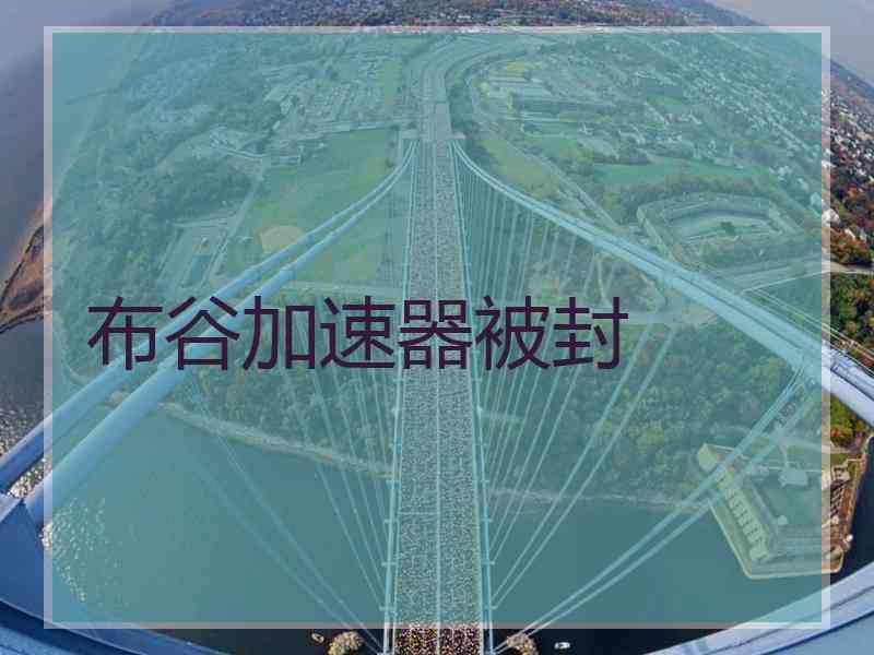 布谷加速器被封