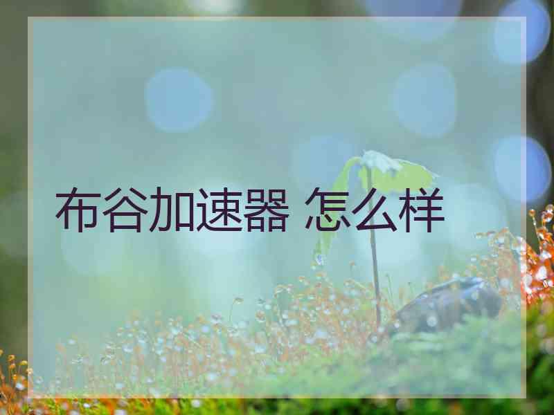 布谷加速器 怎么样