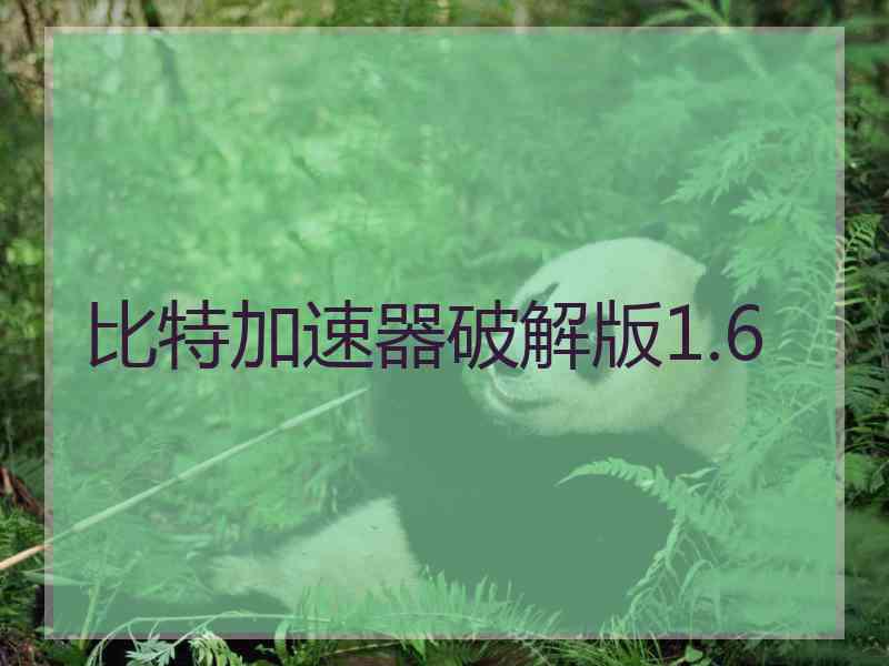比特加速器破解版1.6