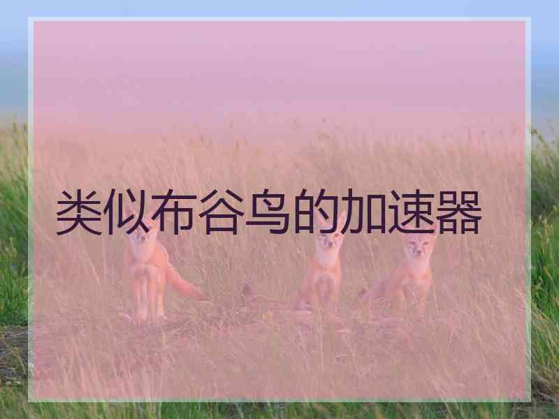 类似布谷鸟的加速器