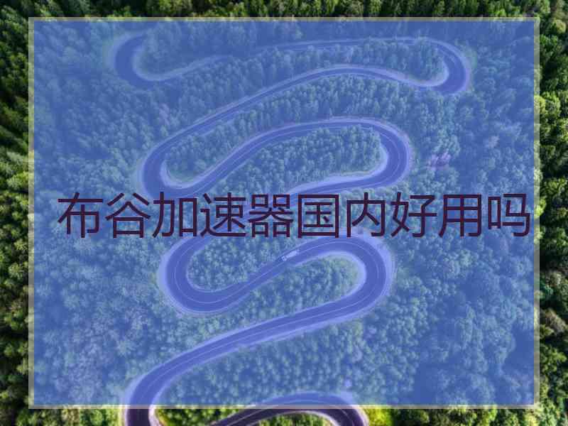 布谷加速器国内好用吗