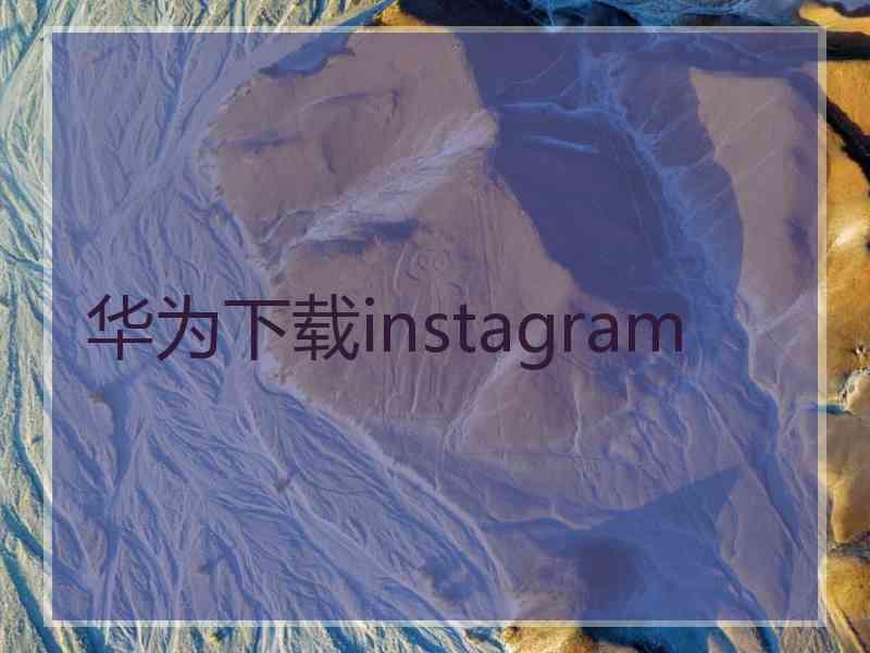 华为下载instagram