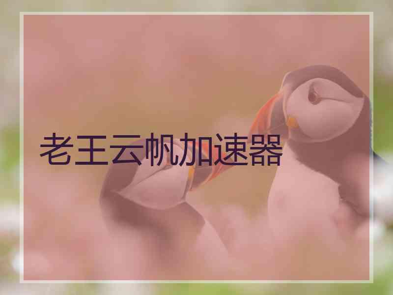 老王云帆加速器