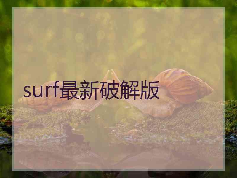 surf最新破解版