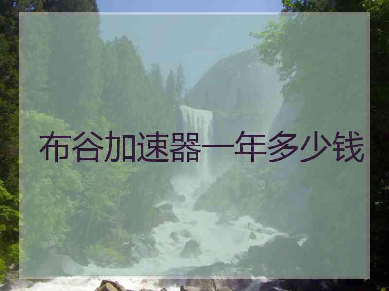 布谷加速器一年多少钱