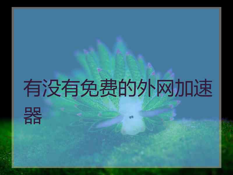 有没有免费的外网加速器