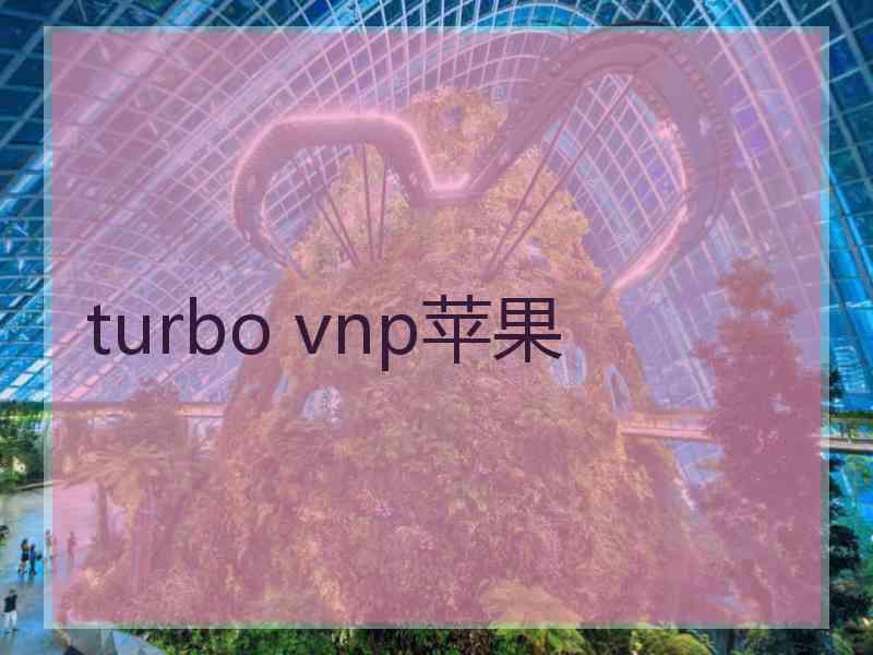 turbo vnp苹果
