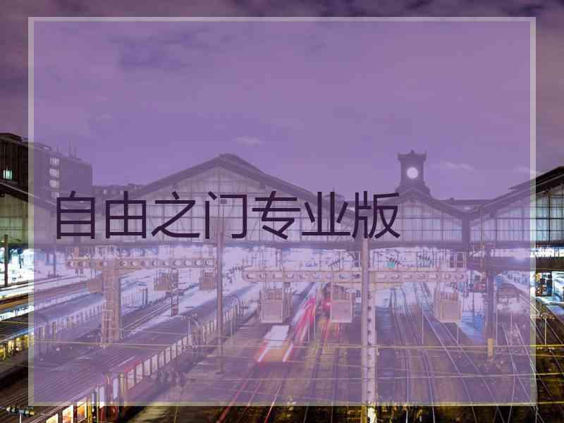 自由之门专业版