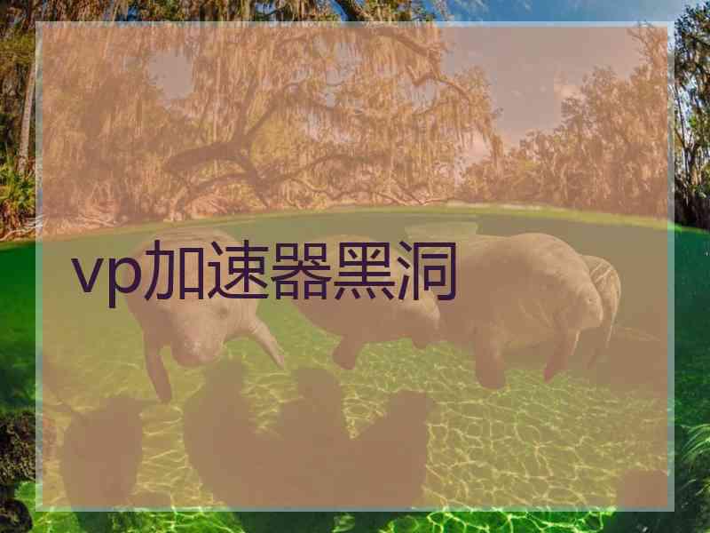 vp加速器黑洞