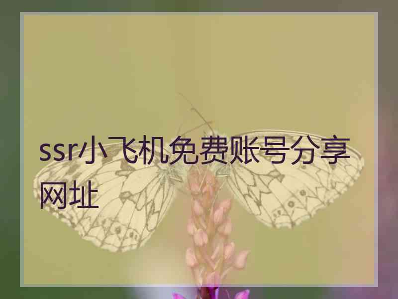 ssr小飞机免费账号分享网址