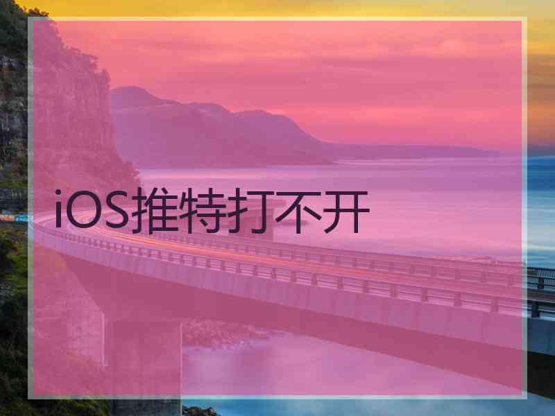 iOS推特打不开