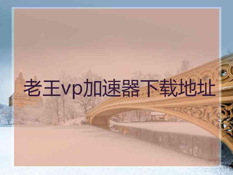 老王vp加速器下载地址