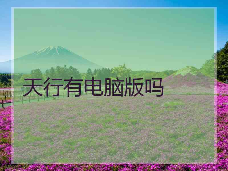 天行有电脑版吗