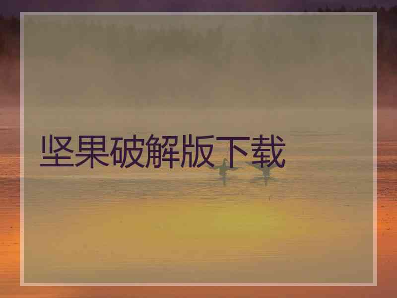 坚果破解版下载