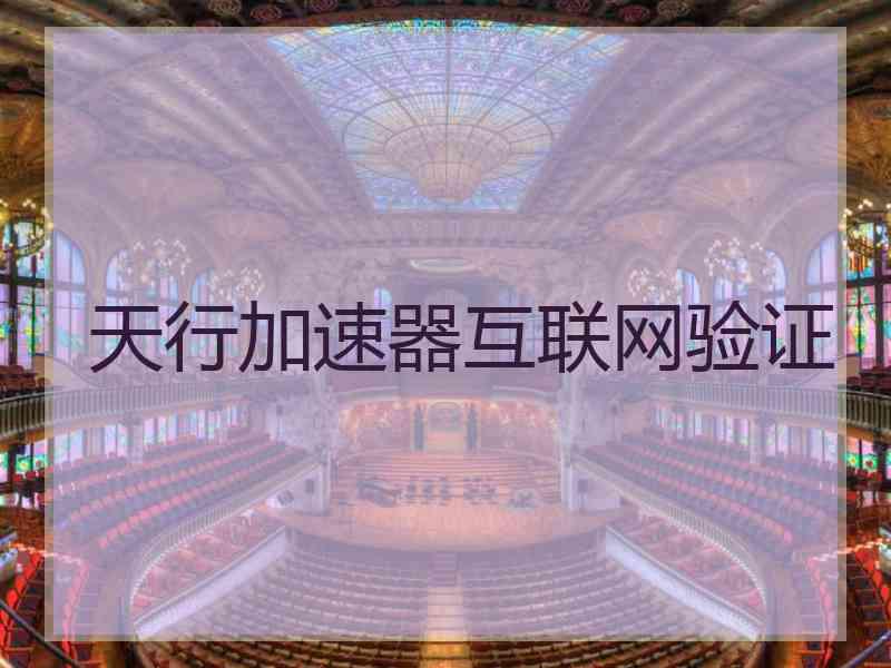 天行加速器互联网验证