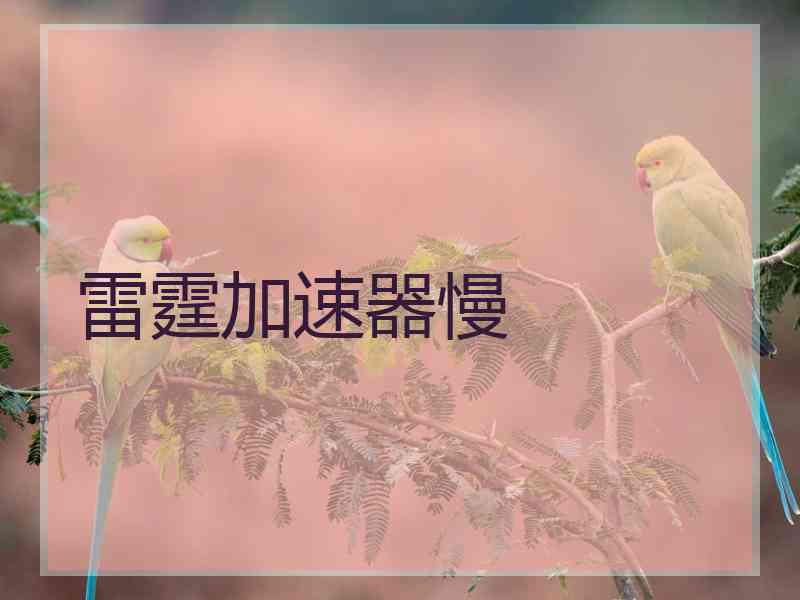 雷霆加速器慢