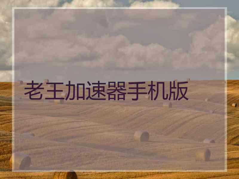 老王加速器手机版
