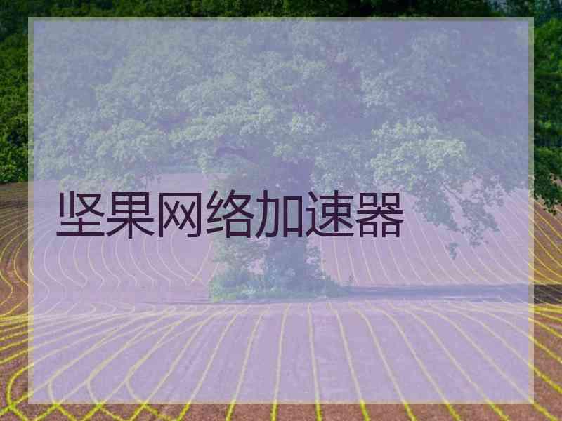 坚果网络加速器