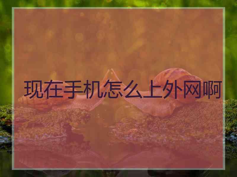 现在手机怎么上外网啊