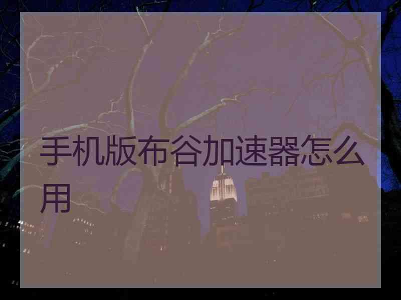 手机版布谷加速器怎么用
